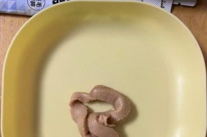 猫毛对人体的危害（了解猫毛对人体健康的影响，保护自己和宠物）