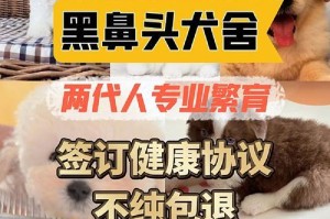 柴犬疫苗和驱虫，保护你的星期狗健康不可或缺（详解柴犬疫苗和驱虫的重要性，从源头保护你的爱犬）