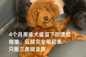 狗狗犬瘟抽搐的治疗方法及注意事项（抽搐原因、常见症状和预防措施，以及如何帮助狗狗应对抽搐）