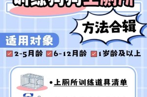 狗狗大小便需多久？（探究狗狗大小便频率的关键因素与注意事项）