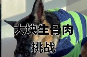 以德牧饮食调理之鸡肝饲喂频率（维持健康的关键——合理控制鸡肝喂食次数）