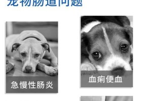 小狗感冒咳嗽怎么办？药物治疗是关键（小狗感冒咳嗽的症状及治疗方法）