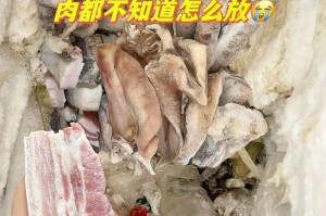养狗小妙招，轻松去除家里的味道！（家有爱犬如何清除异味？一个）