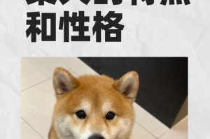 聪明的狗狗（以几个特征看狗狗的聪明程度）