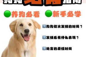 狗狗绝育后需要多久才能恢复正常？（了解绝育手术的恢复时间和关键因素）