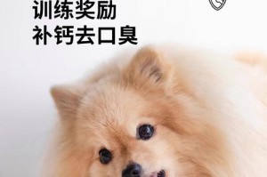 幼犬消化磨牙棒所需时间多久？（探索幼犬消化磨牙棒的时间与过程）