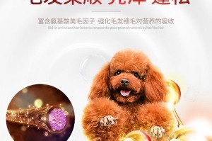 贵宾犬洗澡的最佳时间和注意事项（掌握贵宾犬洗澡的最佳时机和正确方法，让你的宠物更健康、更舒适）
