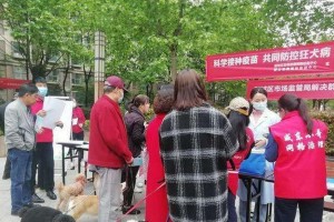 幼犬打疫苗的重要性（保护宝贝健康，从疫苗开始）