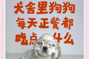 小狗吃母乳的时长及注意事项（了解小狗吃母乳的时间要点）
