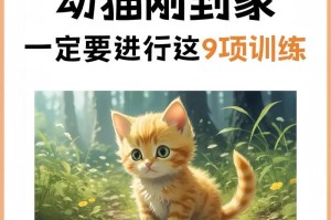 猫适应新家所需时间的探讨（揭秘猫咪在新家的适应过程与时间要求）