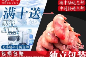 龙鱼人工饲料的选择与喂养技巧（以龙鱼人工饲料为主要食物，让你的宠物健康成长）