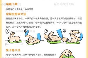 养兔新手必读，注意事项大全（从幼兔到成年，养兔攻略一网打尽）