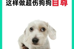 狗狗的健康受威胁（为什么吸烟会对狗狗造成伤害，以及如何保护它们）