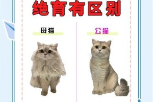 猫的配种周期及注意事项（了解猫的生理特点，合理安排配种时间）