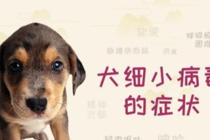 细小传染人的症状及应对措施（了解细小病毒对人体的影响与防范方法，保护自己与他人健康）