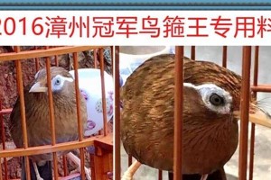画眉多久换毛（科学护理眉毛，让眉形常青）