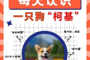 柯基狗的生产周期及关键因素分析（从怀孕到出生，了解柯基狗生产所需的时间和注意事项）