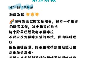 猫咪的喂养之道（不同阶段的喂养方法及注意事项）