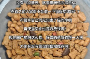 猫咪的营养需求与食物选择（了解猫咪的饮食习惯和关键营养素，让它吃得健康快乐）