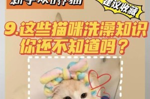 给猫咪洗澡的全攻略（新手猫爸猫妈快来看，让你的猫咪洗澡无忧无虑！）