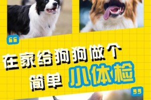 狗狗生化检查的重要性（了解狗狗健康的窗口，关注生物化学指标）
