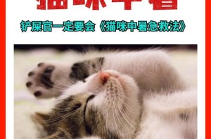 夏季猫咪怕热？如何预防中暑（保护猫咪免受高温伤害的有效方法）
