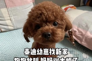 小狗抱养的正确时间选择（了解小狗生理发育需求，合适时机收养它们）
