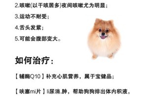 狗的心脏病饮食指南（心脏病犬的饮食配方、食物禁忌及饮食建议）