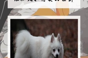 探寻犬类的奇妙世界（从吉娃娃到藏獒，揭秘不同犬类的特点与魅力）
