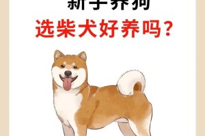 柴犬和巴哥的日常甜化无数人（一起来感受这个虐狗的世界吧！）