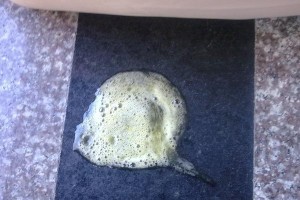 狗狗催吐后的影响及应对方法（了解狗狗催吐后的情况，帮助它尽快康复）