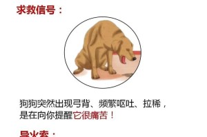 预防狗狗拉稀，让它健康快乐成长（狗狗拉稀的预防措施及注意事项）