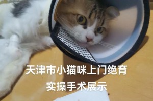 母猫绝育后多久可以脱掉手术服？（细说母猫手术服的时长和注意事项）