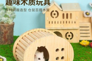 宠物造景用品（为你的宠物创造最佳居住环境）
