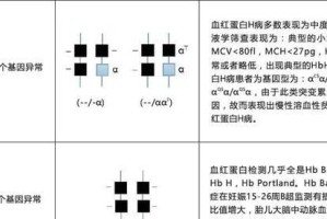 贫血代谢物检测（揭开贫血代谢物检测的奥秘，掌握自身健康密码）