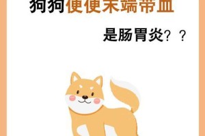 狗狗便血，及时治疗保护它的健康（鉴别狗狗便血的3大类型，了解病因和应对方法）