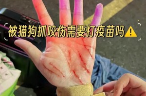 猫抓伤（探究猫抓伤的原因、症状与预防措施）