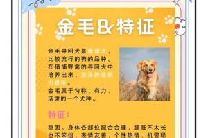 金毛多久成熟？（了解金毛的成长周期和关键阶段）