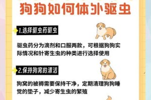 狗狗三个月大多久驱一次虫？（狗狗三个月大的驱虫频率及方法详解）