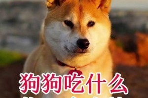 狗狗长身体之道（从饮食出发，关键在平衡）