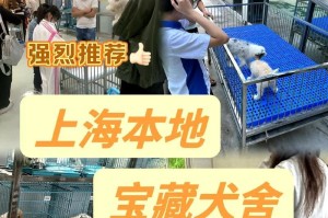 以上海法牛犬舍为主题的犬舍特点与饲养经验（了解上海法牛犬舍的独特之处，让你成为合格的犬舍主人）