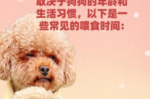 如何辨认一只泰迪犬是否是纯种？（泰迪犬纯种特征及鉴别方法）