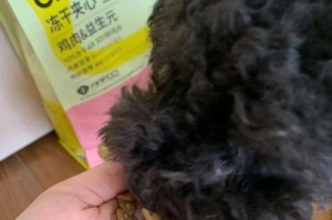 全面指南（6点选购要点，清单推荐帮你安心备足）