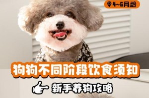 狗狗的“生长黄金期”（为宠物犬提供全面均衡的饮食，让其健康成长）