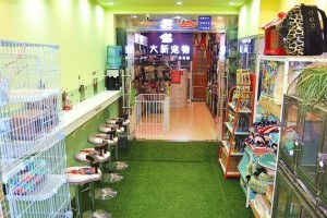 探索加盟宠物店行业的机遇和挑战（深入剖析加盟宠物店的商机与运营之道）