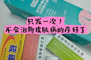 狗生癣的治疗方法及效果（以狗生癣用什么可以治好吗）