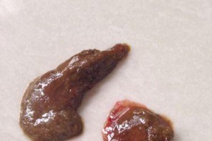狗狗大便干了后的颜色及其健康意义（探索狗狗大便干燥后不同颜色的原因和应对措施）