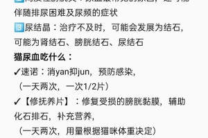公猫尿血的原因及处理方法（了解公猫尿血的症状和常见原因，保护你的宠物健康）