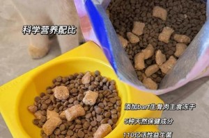 小猫的便便是否正常？（了解小猫便便的特征及健康状况）