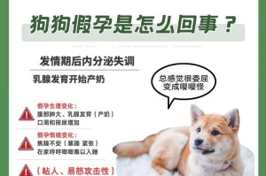 泰迪狗的怀孕症状（探索泰迪狗怀孕的迹象，关注它们健康的重要性）